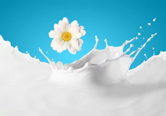 Papier Peint photo Milk-shake Image of milk splashes