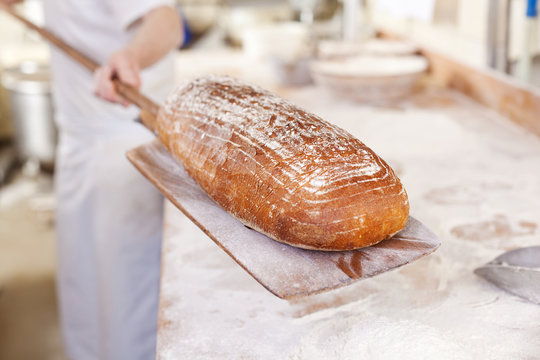 frisches brot aus dem ofen