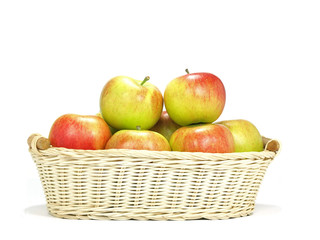 elstar variety apples