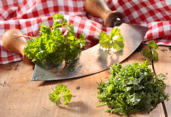 Modern herb cutter (wiegemes) with wooden handles