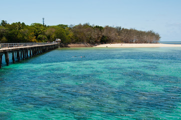 Great Barrier Reef. Australia