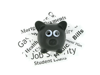 Googly Eyes Pig with Expenses