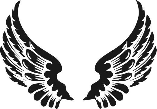 Abstract Angel Wings
