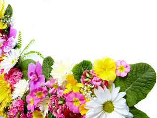 Floral greeting card with beautiful flowers.