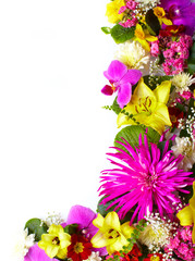 Floral greeting card with beautiful flowers.