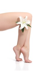 Beautiful woman legs with a white flower