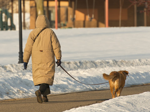 Woman Walking Her Dog In The Winter