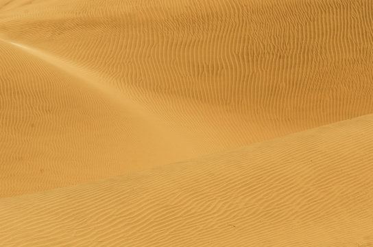 Dunes Of Cerro Blanco