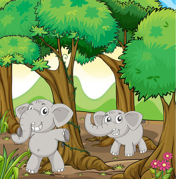 Two young elephants in the forest