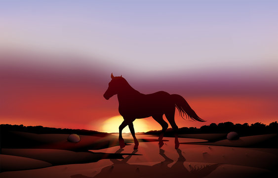 A sunset at the desert with a horse