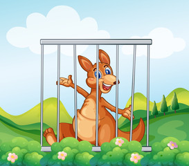 A kangaroo inside a cage