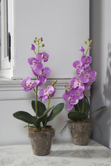 Potted pink orchid on black table top in front of cupboard