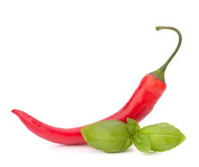 Hot red chili or chilli pepper and basil leaves still life
