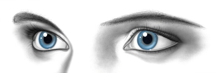 female pair of eyes