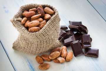 Cocoa beans and chocolate