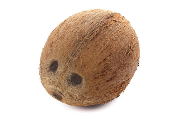 Coconut on white background