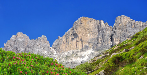 Fototapeta na wymiar Szczyty Dolomitów, Rosengarten, Val di Fassa, Włochy Alpy