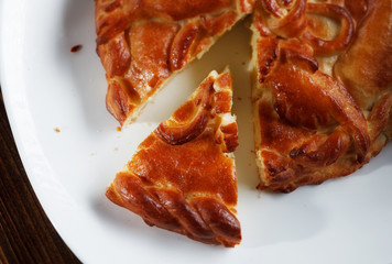 Piece of apple pie is laying on white plate