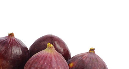 fig