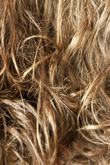 close-up of curly blond hair