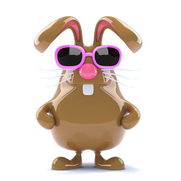 Chocolate bunny is cool in her pink shades