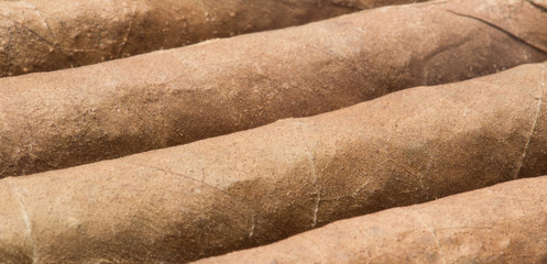 Cigars close up