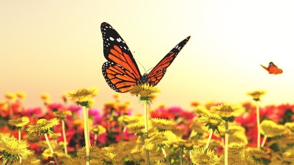 Spring butterfly - obrazy, fototapety, plakaty