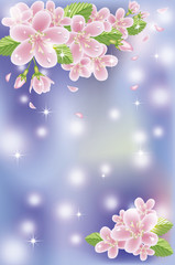 Spring sakura blossom banner, vector illustration