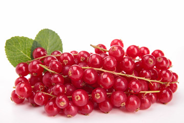 isolated red currant
