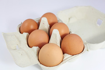 eier in einer eierschachtel