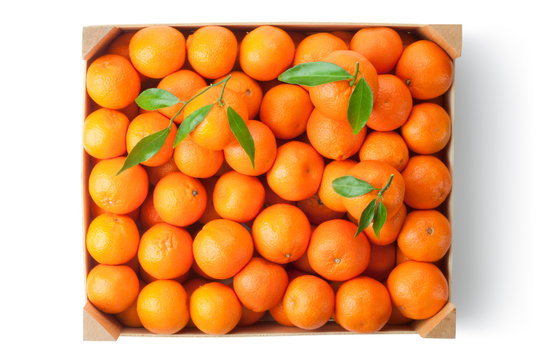 Crate of ripe tangerines. Top view.