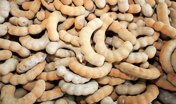 Close up of brown tamarind