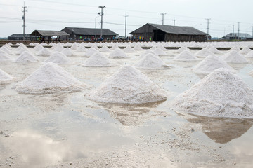 Field of salt pan