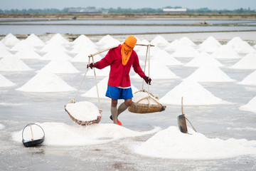 Salt pan harvest