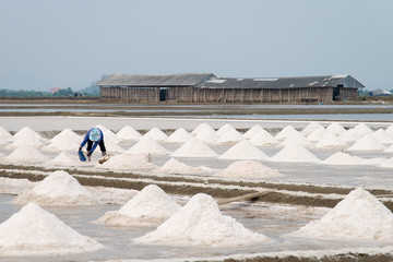 Salt pan harvest