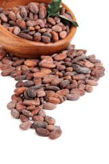 Cocoa beans in bowl with leaves, isolated on white