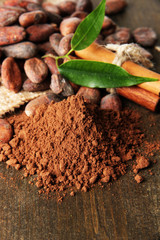 Cocoa beans, cocoa powder and spices on wooden background