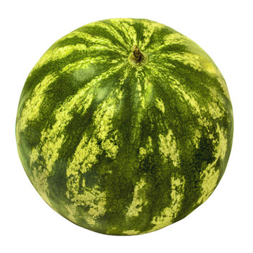 isolated watermelon