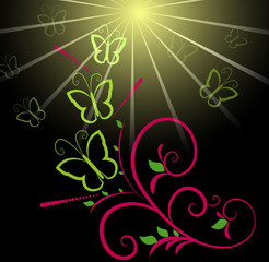 Butterfly and sun background