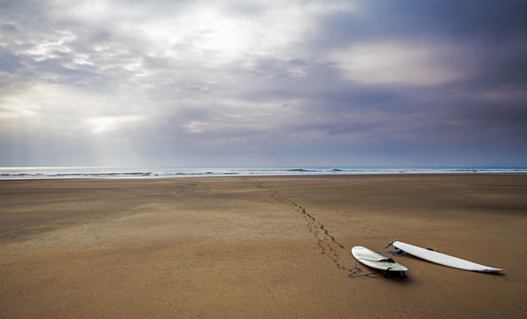 Surfboards! Surfing Landscape / Sea Scape - Beach Art,