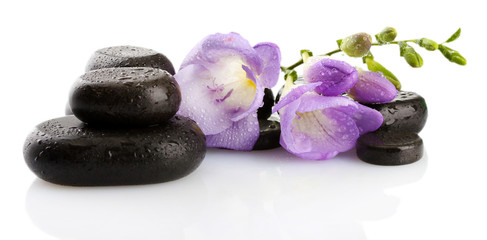 Spa stones and purple flower, isolated on white