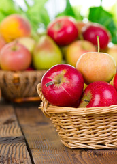 Naklejka na ściany i meble Fresh organic fruits in the basket