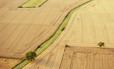 campi&ntilde;a francesa