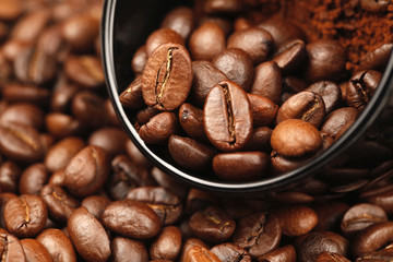 Coffee Bean Scattered