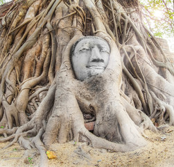 Fototapeta na wymiar Head of Sandstone Buddha i