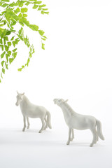 どこに、行くの