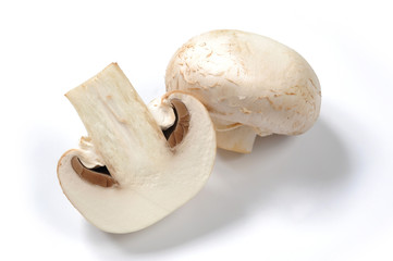 Mushrooms isolated