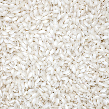 Rice organic wheat raw cereal close up texture or background
