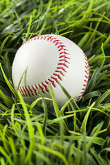 New White Baseball in green grass