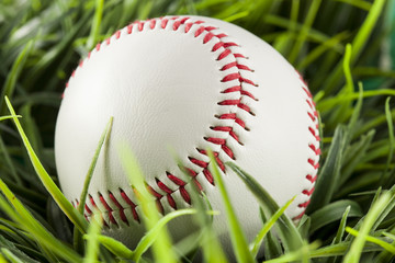 New White Baseball in green grass